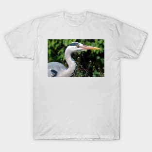 Grey Heron Ardea cinerea T-Shirt